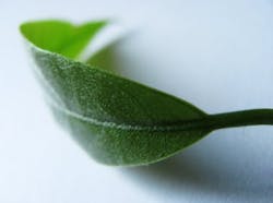 Earth Advantage Institute: Top 10 green building trends for 2011 Earth Advantage Institute: Top 10 green building trends for 2011