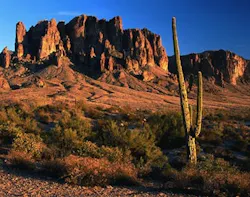 670c2f210a638b936f8701be Phoenix20az20article