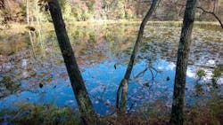 670c2f269688047f31822f07 1432313 75618053 670c2f269688047f31822f07 1432313 75618053