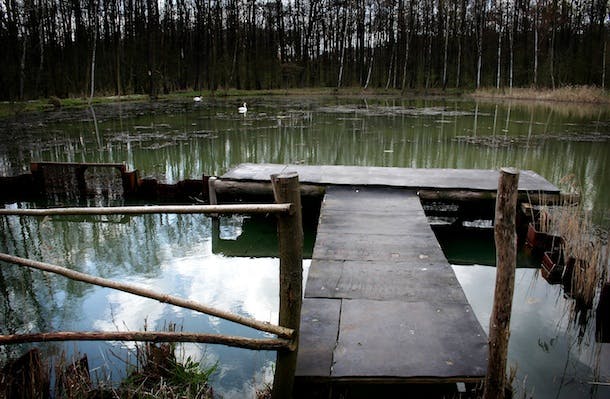 670c2f26b16b5c1a657a514c 988713 70795425