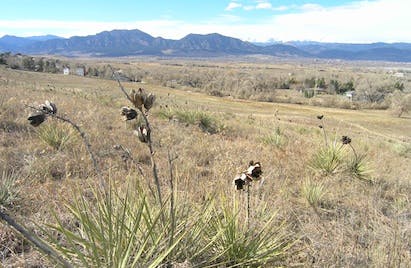 670c2f58b16b5c35ee7a5159 Land