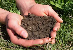 670c2f5ec7e83348d4f5ec83 Soiltesting