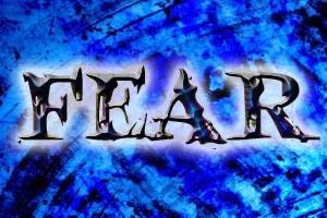 670c2f6596880457dd822f4b Fer2