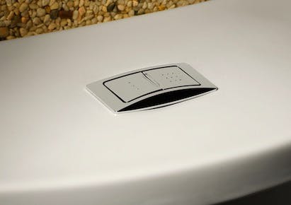 670c2f6a68e9c1ce0a2e56a9 Dual20flush