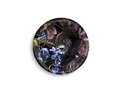 Kohler Artist Edition Sink Dutchmaster Kohler Artist Edition Sink Dutchmaster