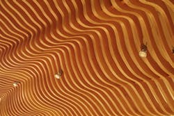 Empty-nesters-undulating-ceiling-panel-detail Empty-nesters-undulating-ceiling-panel-detail