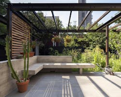 First Choice Terrace%20garden Jane%20messinger First Choice Terrace%20garden Jane%20messinger