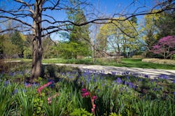 North Shore Front Entrance Landscaping North Shore Front Entrance Landscaping