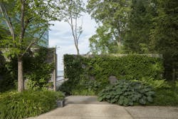 North Shore landscape North Shore landscape