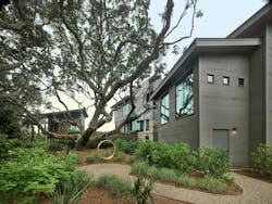 The treehouse exterior with tree and swing The treehouse exterior with tree and swing
