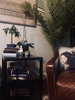 Meditation-room-plants Meditation-room-plants