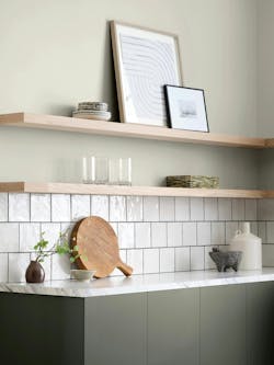 color of the year color of the year