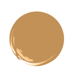 Bosc%20 Pear%20 Sw%206390 Bosc%20 Pear%20 Sw%206390