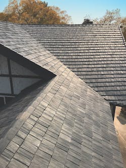 DaVinci bellaforte shake DaVinci bellaforte shake