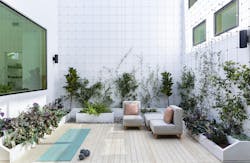 Outdoor patio with seating and greenery Outdoor patio with seating and greenery