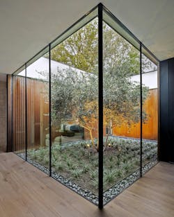 Central courtyard with olive tree at Stealth House Central courtyard with olive tree at Stealth House