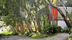 A fixture of midcentury design in Los Angeles since the 1940s, the iconic Eames House suffered smoke damage in the California wildfires, but recently reopened to the public. A fixture of midcentury design in Los Angeles since the 1940s, the iconic Eames House suffered smoke damage in the California wildfires, but recently reopened to the public.