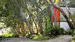 A fixture of midcentury design in Los Angeles since the 1940s, the iconic Eames House suffered smoke damage in the California wildfires, but recently reopened to the public. A fixture of midcentury design in Los Angeles since the 1940s, the iconic Eames House suffered smoke damage in the California wildfires, but recently reopened to the public.