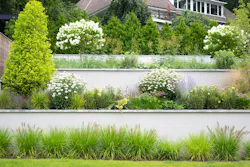 Landscaping Courtesy SCG Studio Landscaping Courtesy SCG Studio