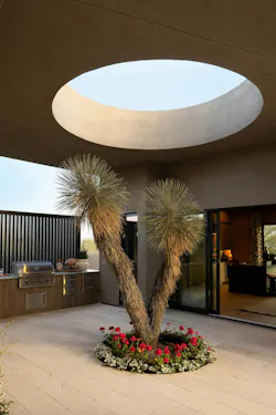 Circular cutout in a patio framing a joshua tree below